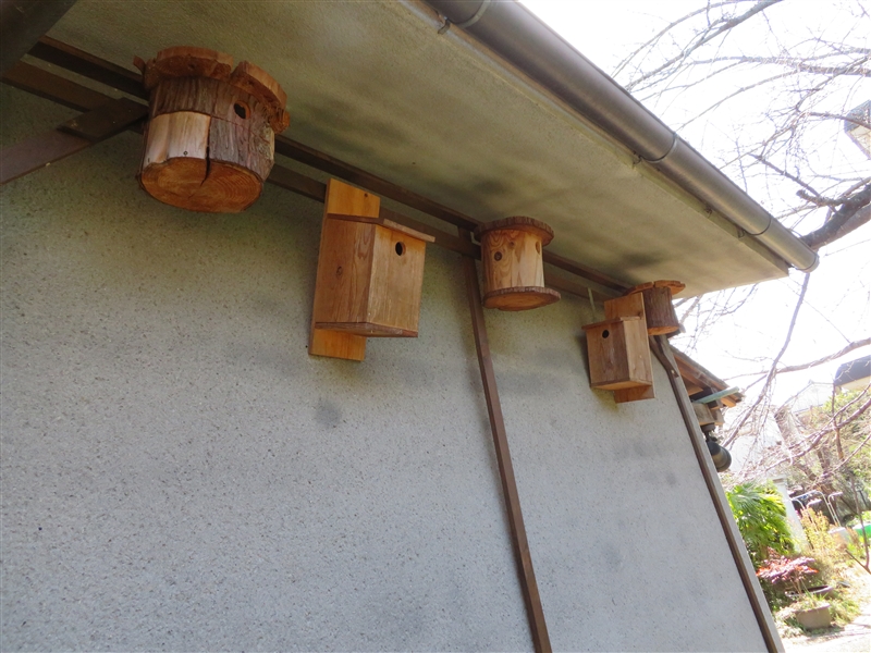 巣箱 野鳥を庭に呼ぶ