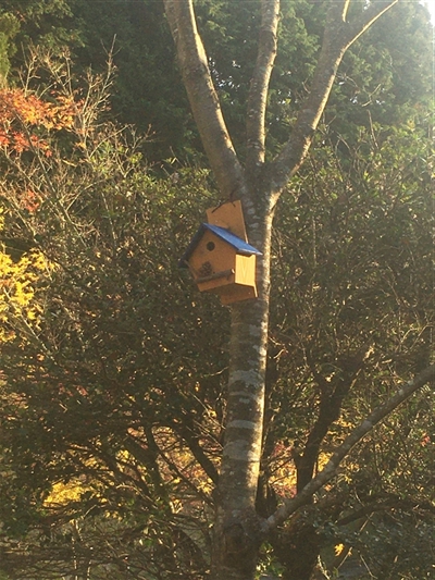 巣箱,ビオトープ,寝屋川